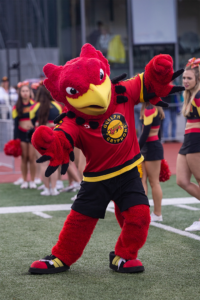 Crowd celebrating at homecoming game.