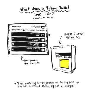 What Will Be On the Ballot? When you go to vote, you will be voting for a member of parliament in your riding. The ballot will be a list of all the candidates in your riding with their name and political party. The ballot will have a white circle beside each candidate’s name.