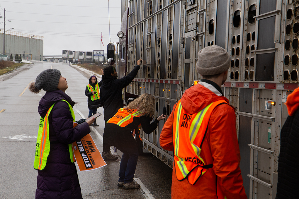 Protestors gathered at Cargill in Guelph