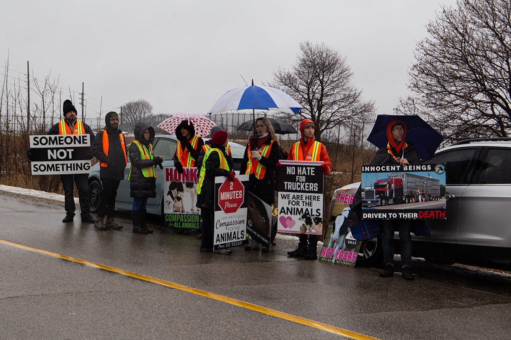 Protestors gathered at Cargill in Guelph