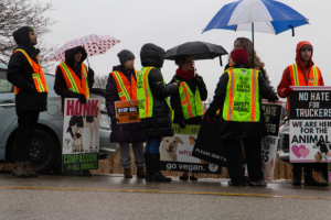 Protestors gathered at Cargill in Guelph