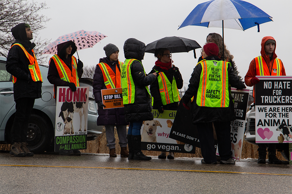 Protestors gathered at Cargill in Guelph
